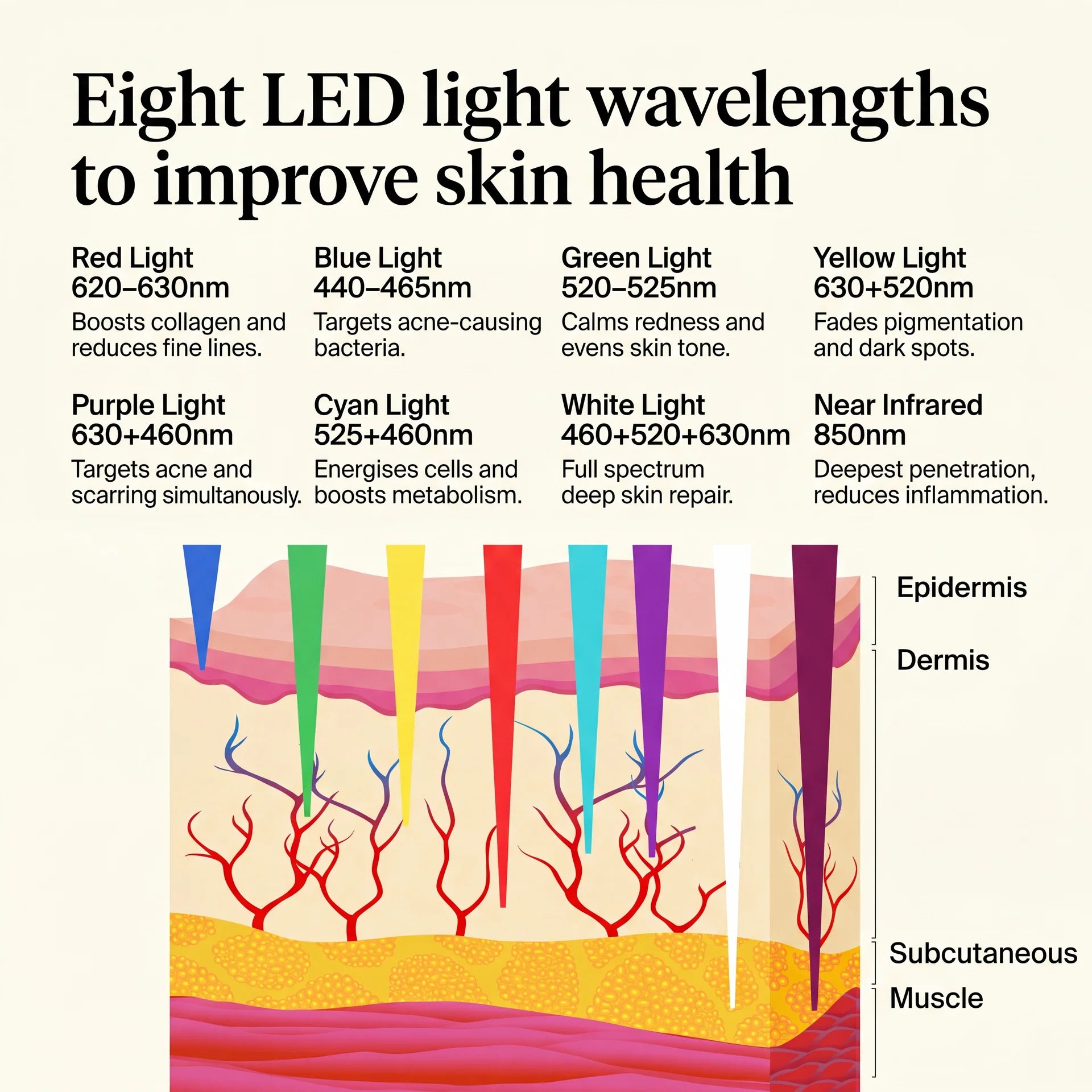 Rubelux Luma8™ Red Light Therapy Mask